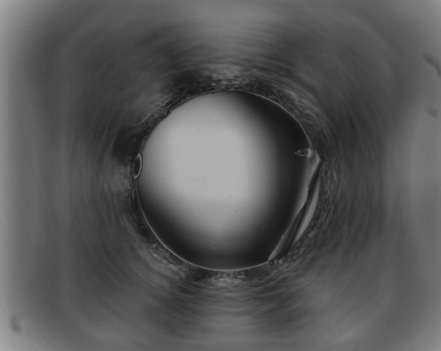 X0000091850756200709121310