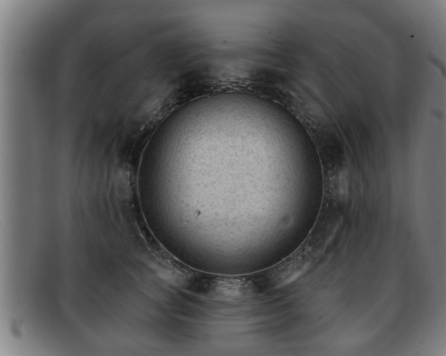 X0000091850757200709121310
