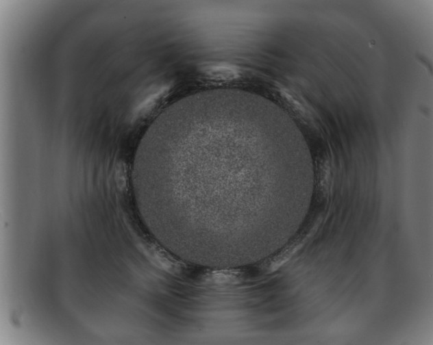 X0000091850758200709121310