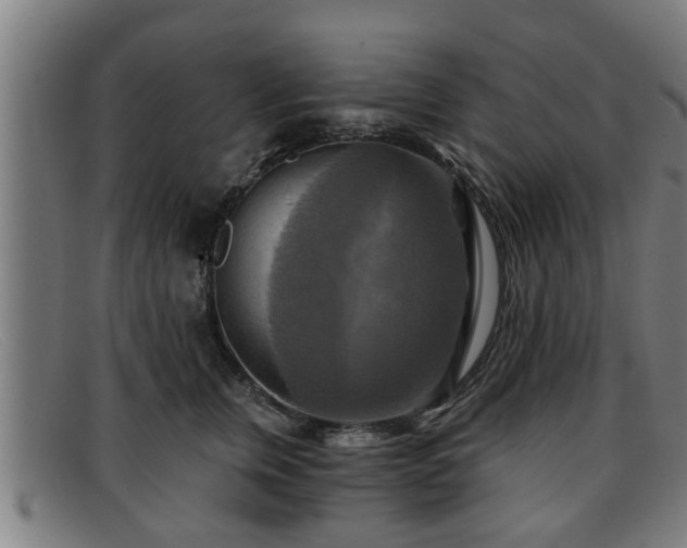 X0000091850759200709121310