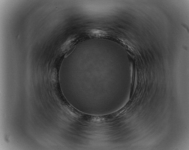 X0000091850760200709121310