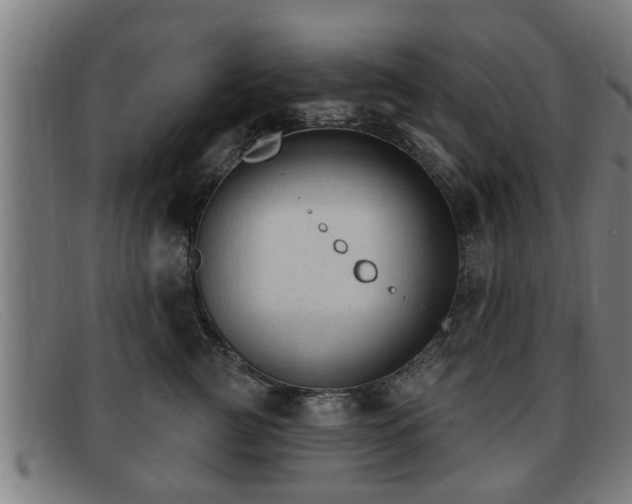 X0000091850761200709121310