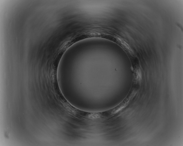 X0000091850762200709121310