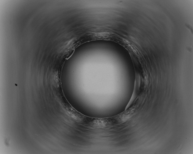 X0000091850764200709121310