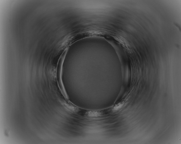 X0000091850766200709121310