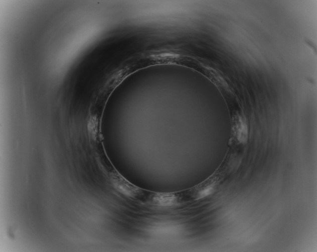 X0000091850767200709121310