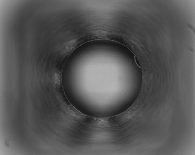 X0000091850768200709121310