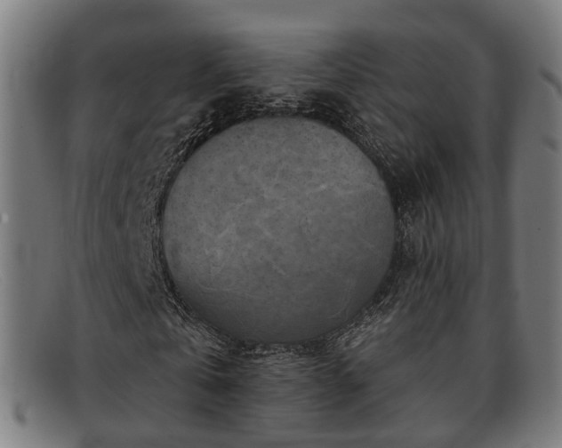 X0000091850769200709121310