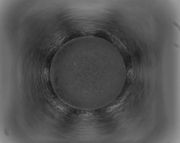 X0000091850772200709121310