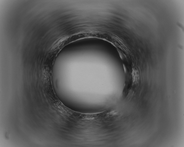X0000091850773200709121310