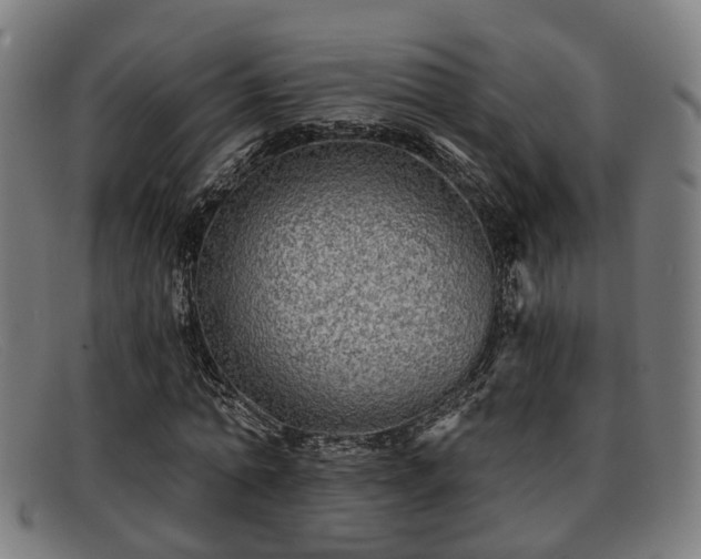 X0000091850774200709121310