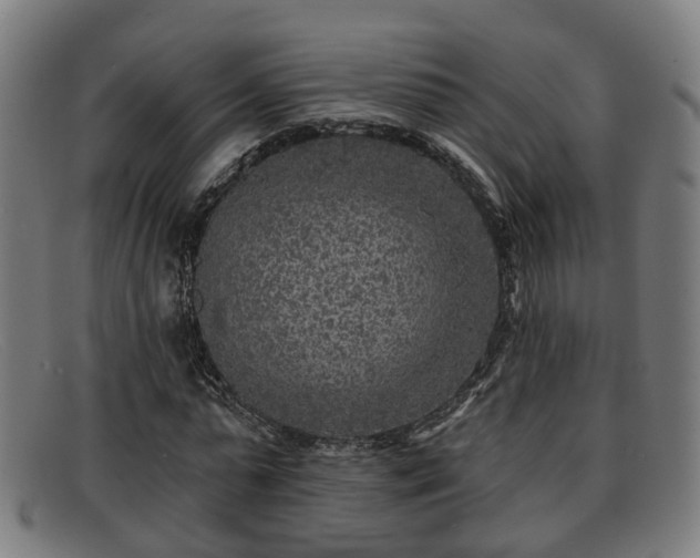 X0000091850775200709121310