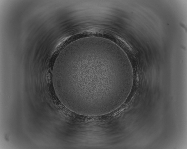 X0000091850776200709121310