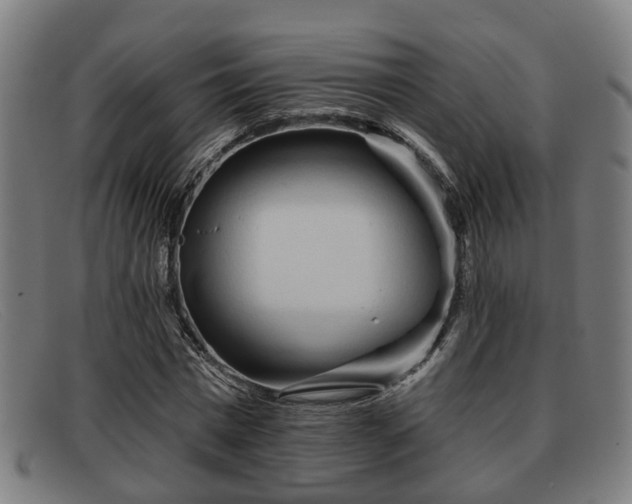 X0000091850777200709121310