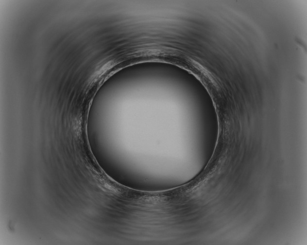 X0000091850778200709121310