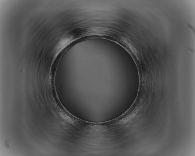X0000091850779200709121310