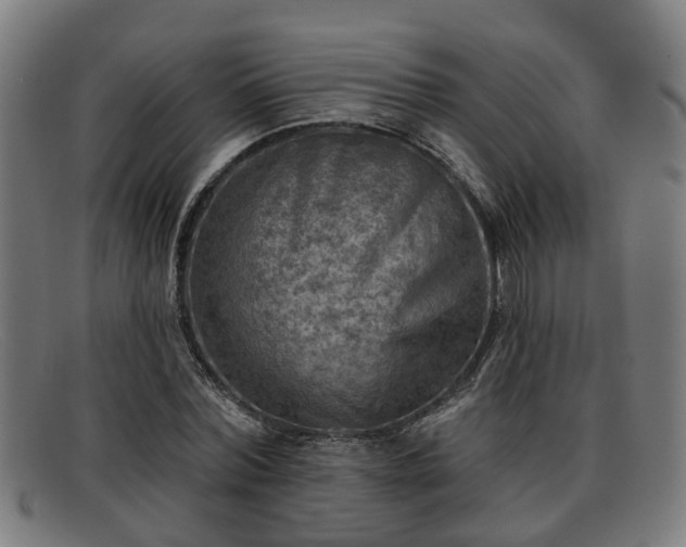 X0000091850780200709121310