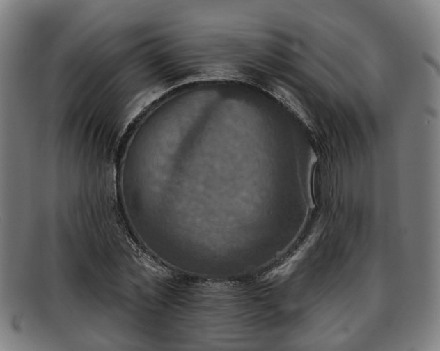 X0000091850781200709121310