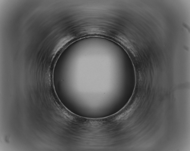 X0000091850782200709121310