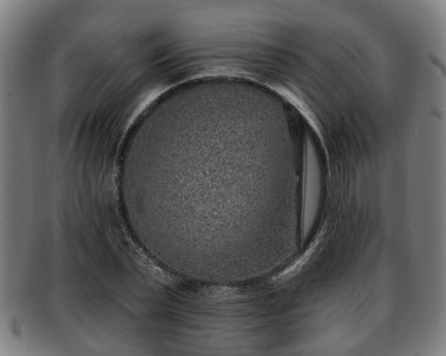 X0000091850783200709121310