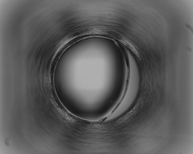 X0000091850784200709121309