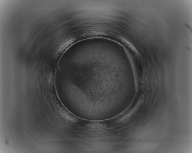 X0000091850785200709121309