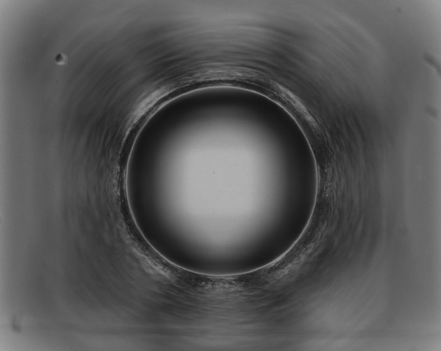 X0000091850786200709121309