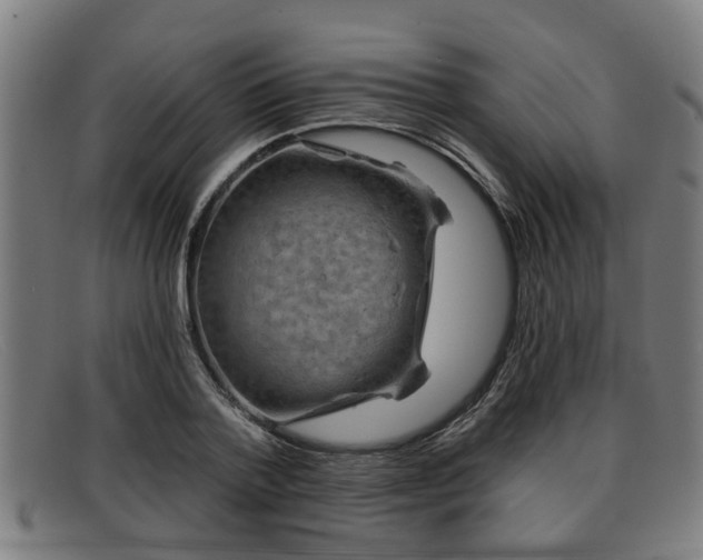 X0000091850788200709121309