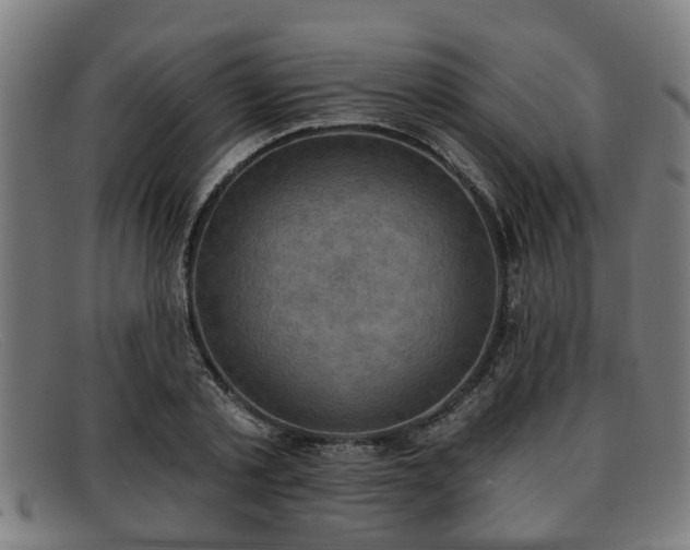 X0000091850789200709121309