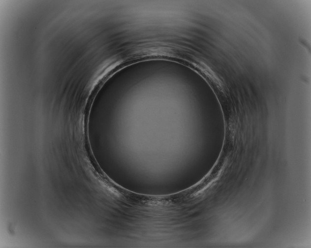 X0000091850790200709121309