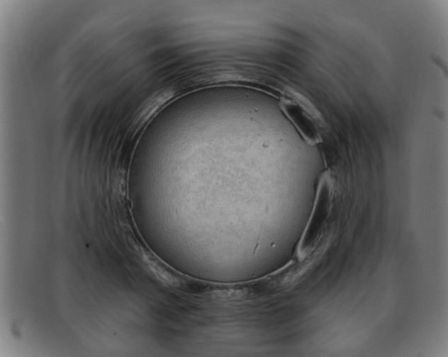 X0000091850793200709121309
