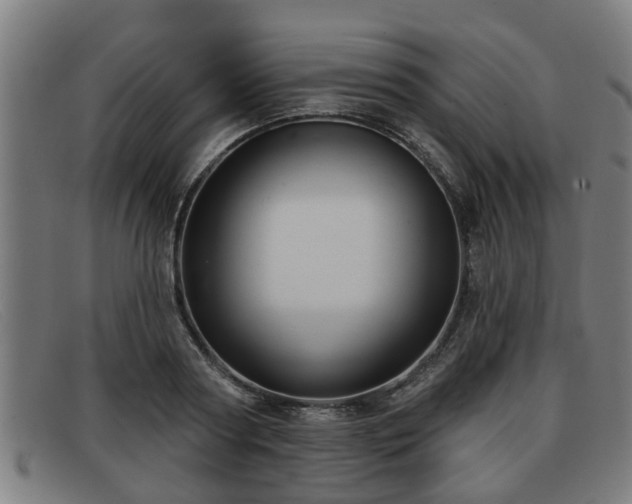 X0000091850794200709121309