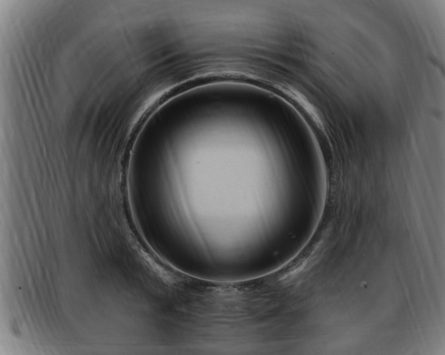 X0000091850799200709121309