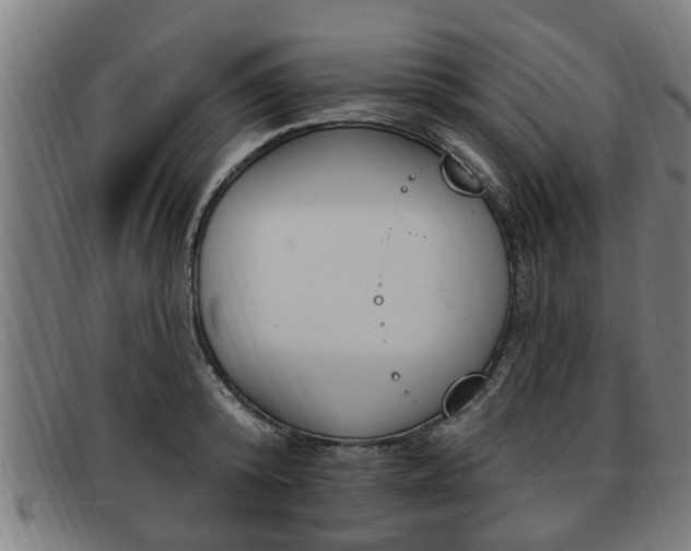 X0000091850800200709121309