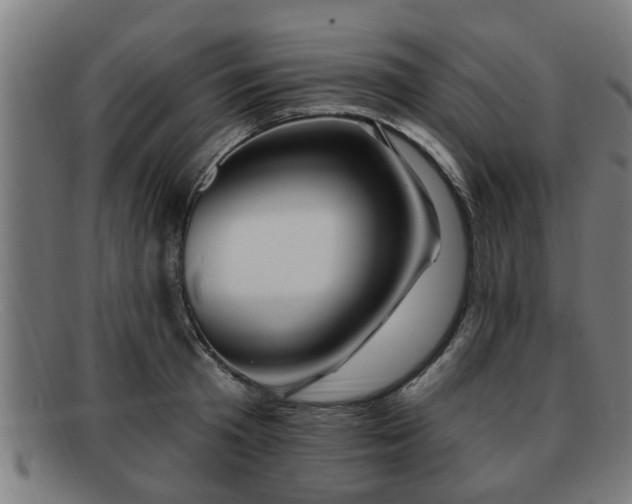 X0000091850801200709121309