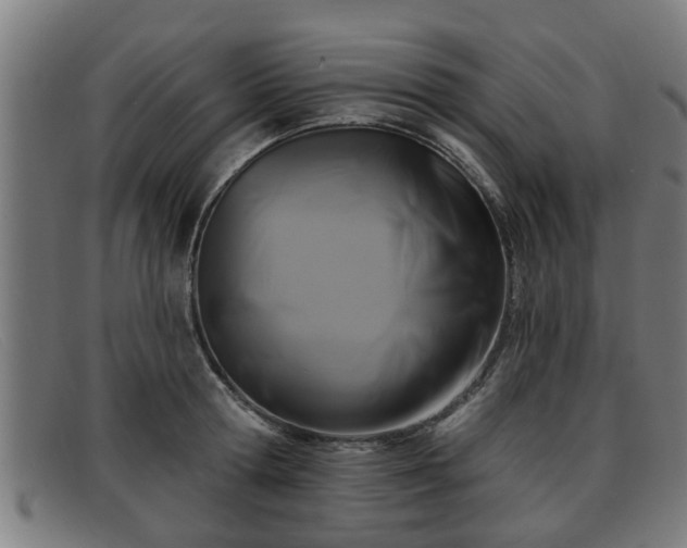 X0000091850802200709121309
