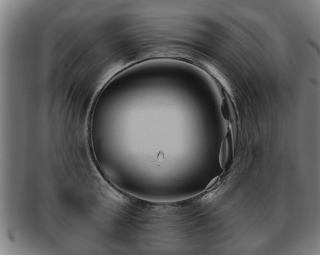 X0000091850803200709121309