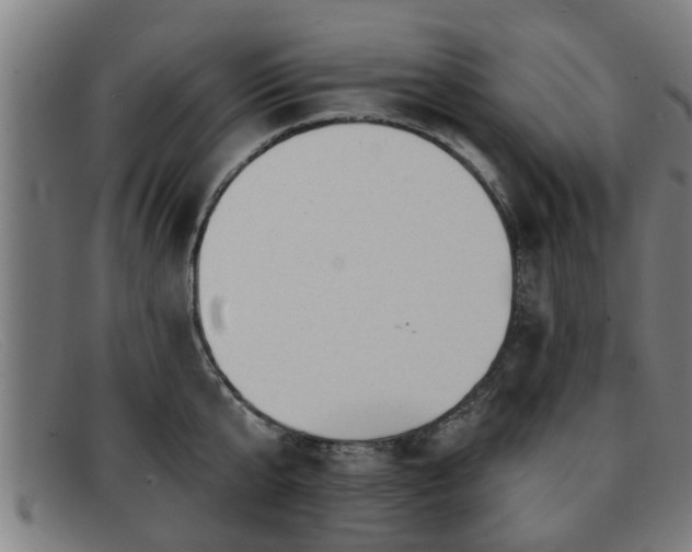 X0000091850807200709121309