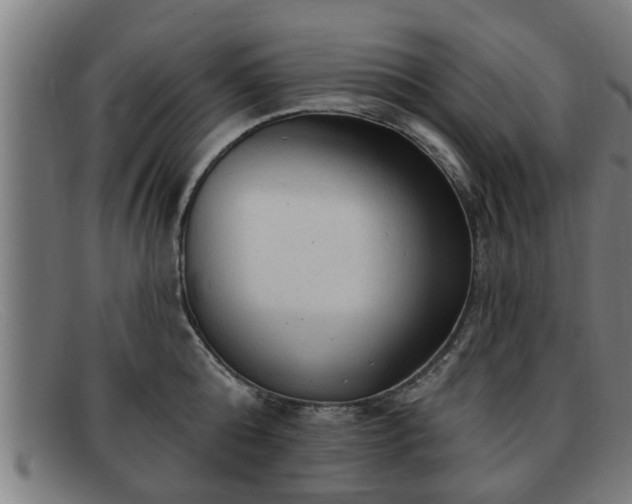 X0000091850808200709121309