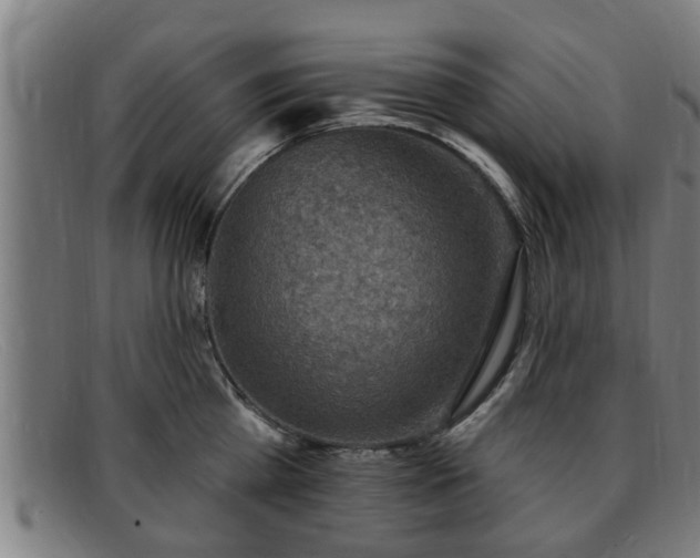 X0000091850809200709121309