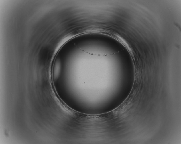 X0000091850811200709121309