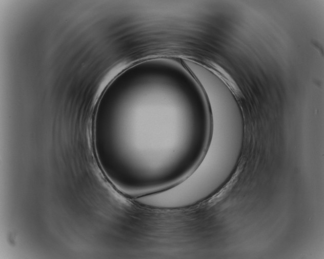 X0000091850812200709121309