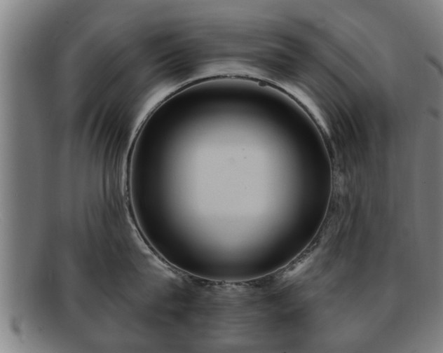 X0000091850815200709121309