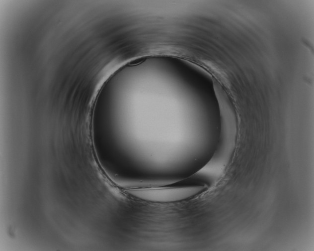 X0000091850816200709121309