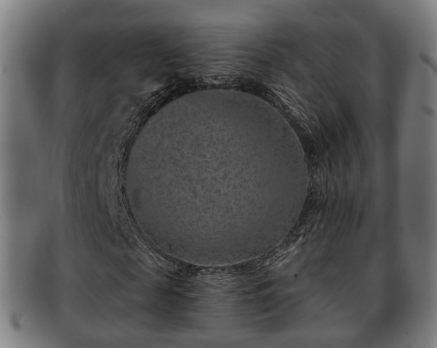 X0000091850817200709121308