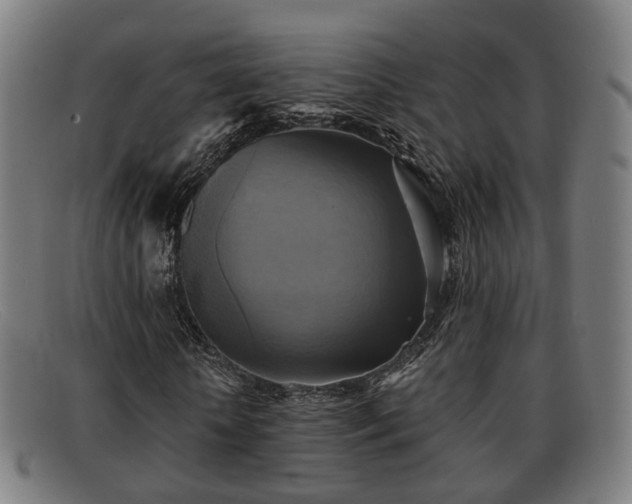 X0000091850818200709121308