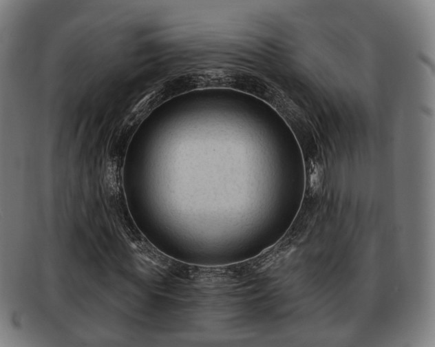 X0000091850819200709121308