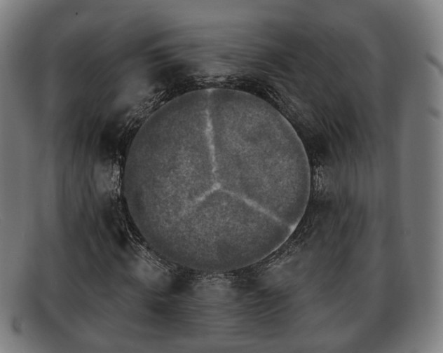 X0000091850820200709121309