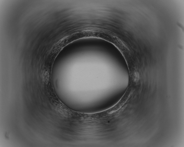 X0000091850821200709121309