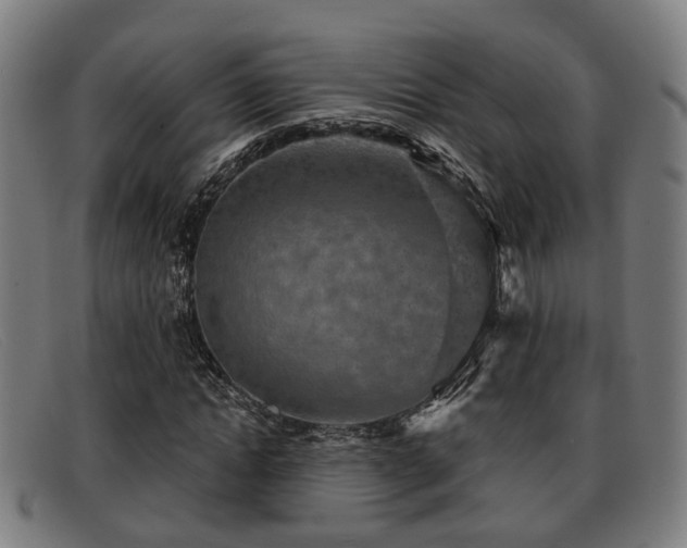 X0000091850822200709121309